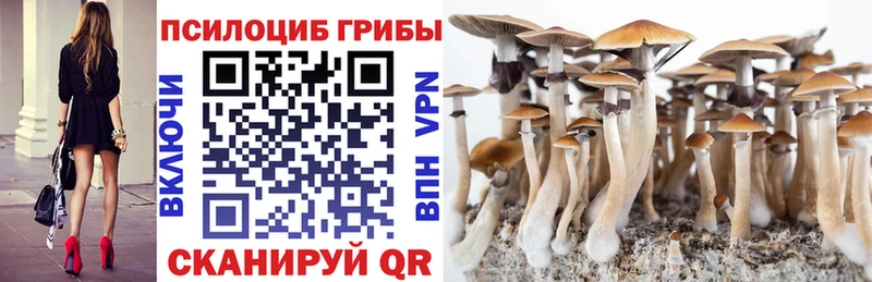 Псилоцибиновые грибы GOLDEN TEACHER Астрахань